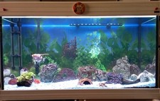 acquario acqua dolce (con pesci al completo usato 200L.con mobile bianco laccato