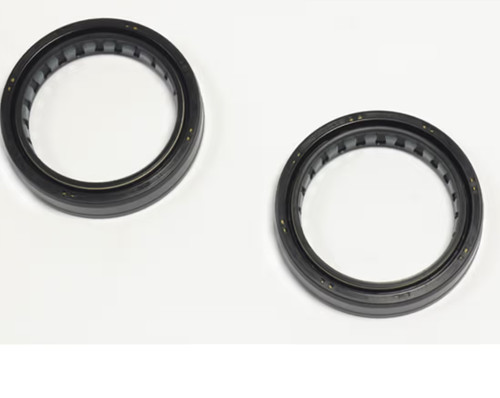 Kit paraolio forcella - forcella, nok