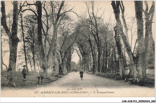 Car acbp13 1044 arnay - arnay,