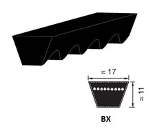 CINGHIA 17X929 BX35