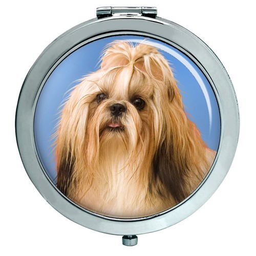 Shih tzu specchio - tzu,