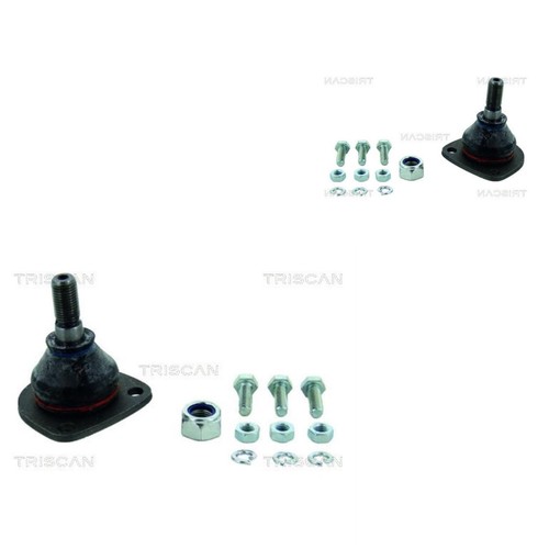 Triscan giunto supporto - 2x,
