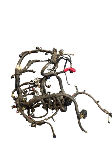 Cablaggio cablaggio motore