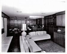 FOTOGRAFIA ORSO PANDA STAMPE