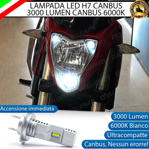 Lampada led 6000k - led, h7