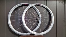 Campagnolo Shamal Wheelset