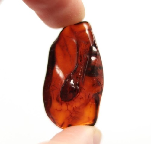 Pietra ambra baltica cognac