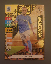 LOBOTKA MOMENTUM PANINI