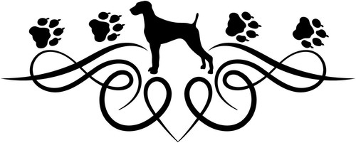 Weimaraner adesivo auto - weimaraner,