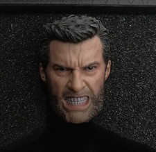 Head Sculpt LOGAN TESTA Action Figure No Hot Toys Wolverine  1/6  Hugh Jackman
