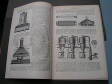 Estrazione del sale testo e