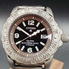 Citizen Eco Drive ProMaster