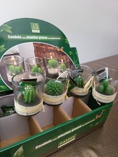 12 Pezzi Candele di Cactus con