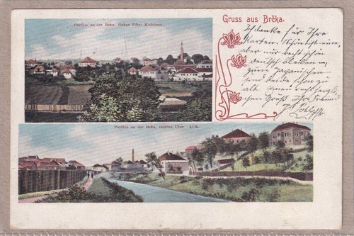 Cartolina brčko bertschko - cartolina, brčko/bertschko