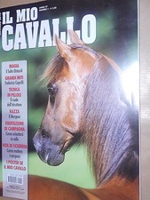 Il Mio Cavallo 2016 1 gennaio#qqq