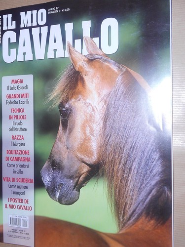 Mio cavallo 2016 1 - il,