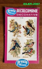 uccelli varie specie