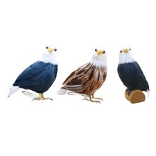 Uccelli piumati aquila - piumati,