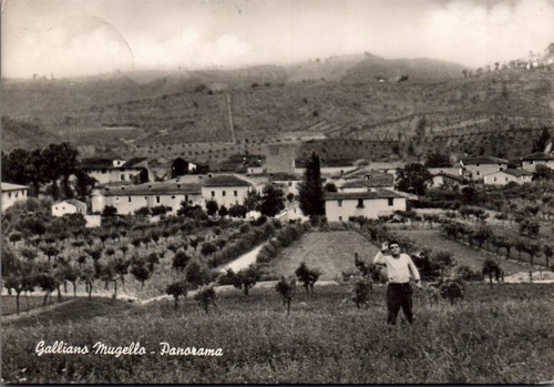 Firenze mugello panorama - panorama, f