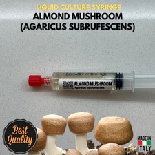 Fungo Mandorlato Coltura