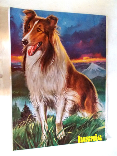 Poster lassie edigramma roma - lassie,