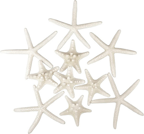 Pezzi decorazione stella - 12,