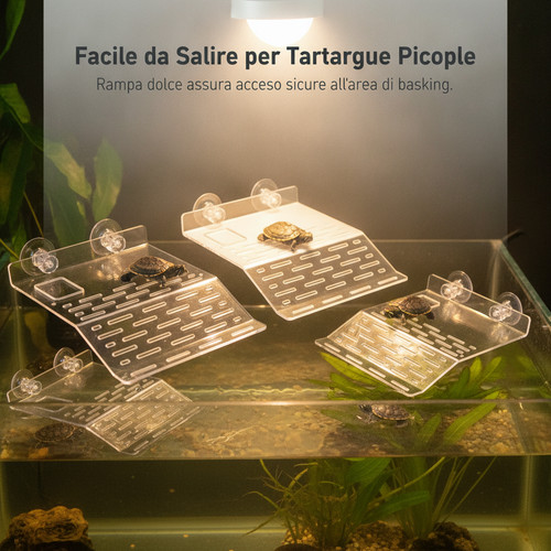 Piattaforma per acquario - piattaforma,