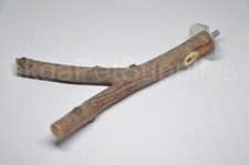 Gabbia per uccelli persico