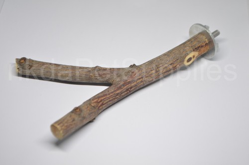 Gabbia per uccelli persico