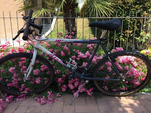 Bicicletta mtb - bicicletta, 42