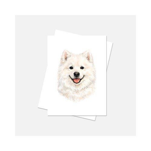 Samoyed biglietto per - biglietto,