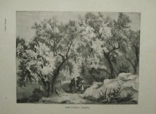 1877:OLIVETO A VENAFRO