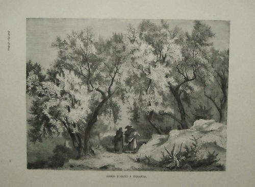 1877 oliveto venafro - a,
