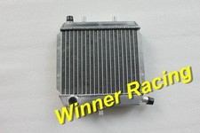 Radiatore in alluminio