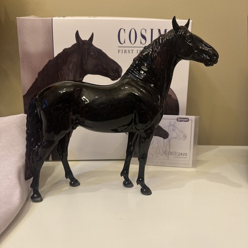 Glossy cosimo star dapples - cosimo,
