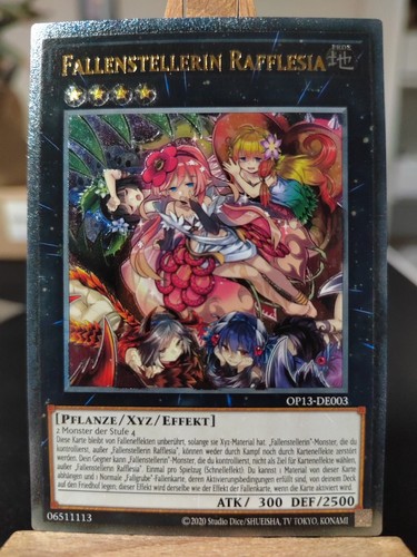 Fallenstellin rafflesia - fallenstellin,