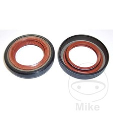 21084-Paraolio albero motore