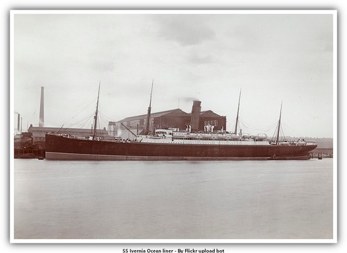 Fodera oceanica ivernia - oceanica, ss