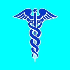 2 x Caduceus Iron on Screen