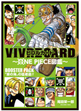 ONE PIECE VIVRE CARD
