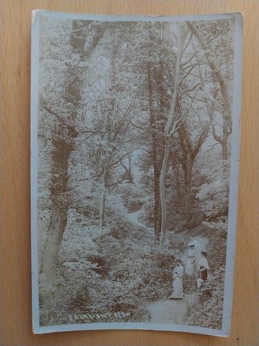 Fairlight glen hastings rp - hastings.,