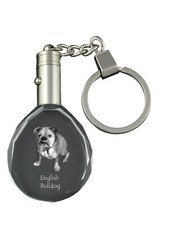 Bulldog, Bulldog Inglese -