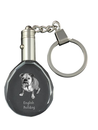 Bulldog inglese - bulldog,,