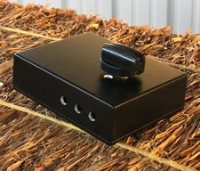 Stami's Customs - Raven 8 Ohm