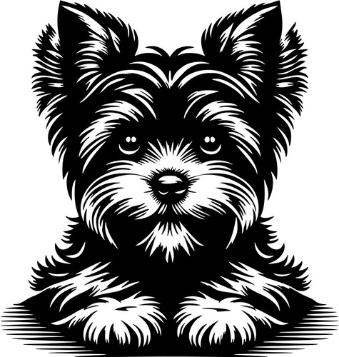 Yorkshire terrier aufkleber - yorkshire,