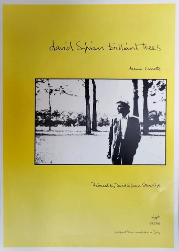 David sylvian brilliant - sylvian.,