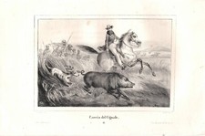 Stampa antica CACCIA AL