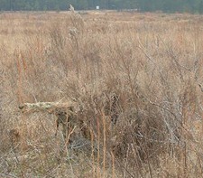 Nuova tuta Ghillie cecchino mimetica 3D deserto mimetica caccia 4 pezzi + borsa