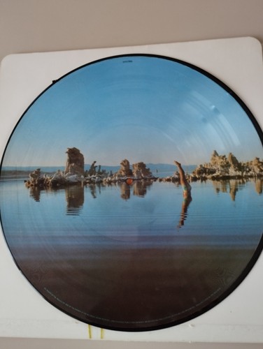 Pink floyd 1975 vinile picture - pink,