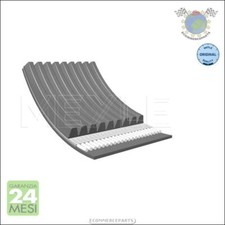 Cinghia alternatore servizy